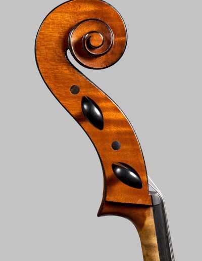 Violin maker Cremona - cello GB Guadagnini - 2022