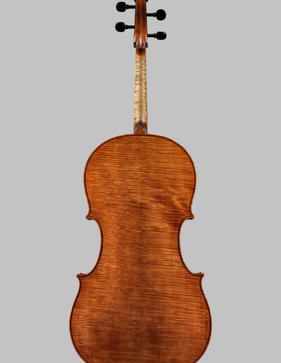 Violin maker Cremona - cello GB Guadagnini - 2022