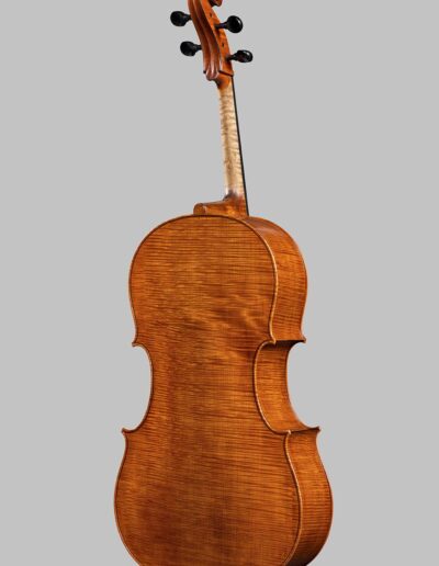 Violin maker Cremona - cello GB Guadagnini - 2022